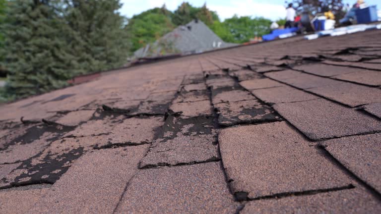 Best Chimney Flashing Repair  in Buxton, NC
